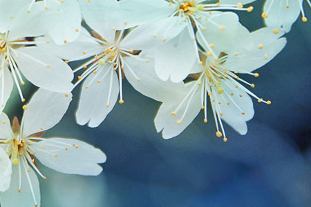 [原创]飞歌导航安卓智能机刷机升级视频教程及最新升级程序固件刷机包下载